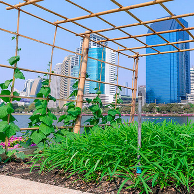 A stock photo of a an urban garden outside of the city.