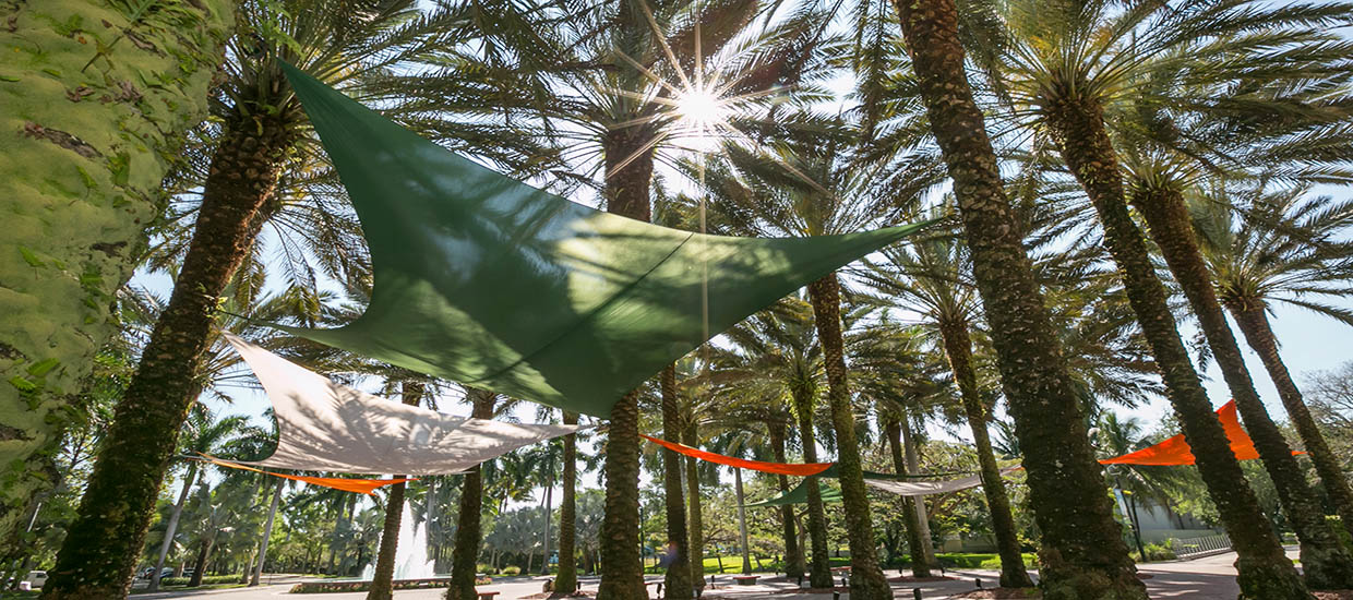 Colorful canopies across the University of Miami Coral Gables campus.