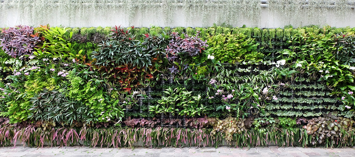 A stock photo of a vertical floral garden.