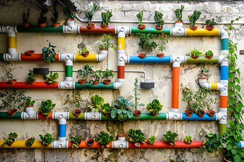 A stock photo of a vertical garden attached to an older building.