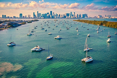 decorative photo of Miami coastline